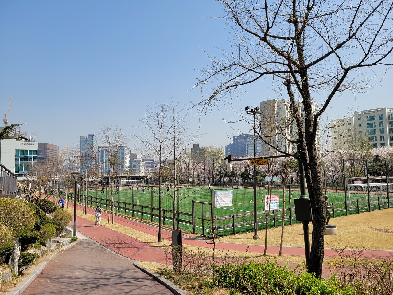 安东尼
